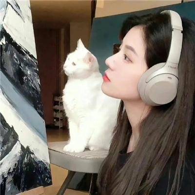 嘉庆传奇
